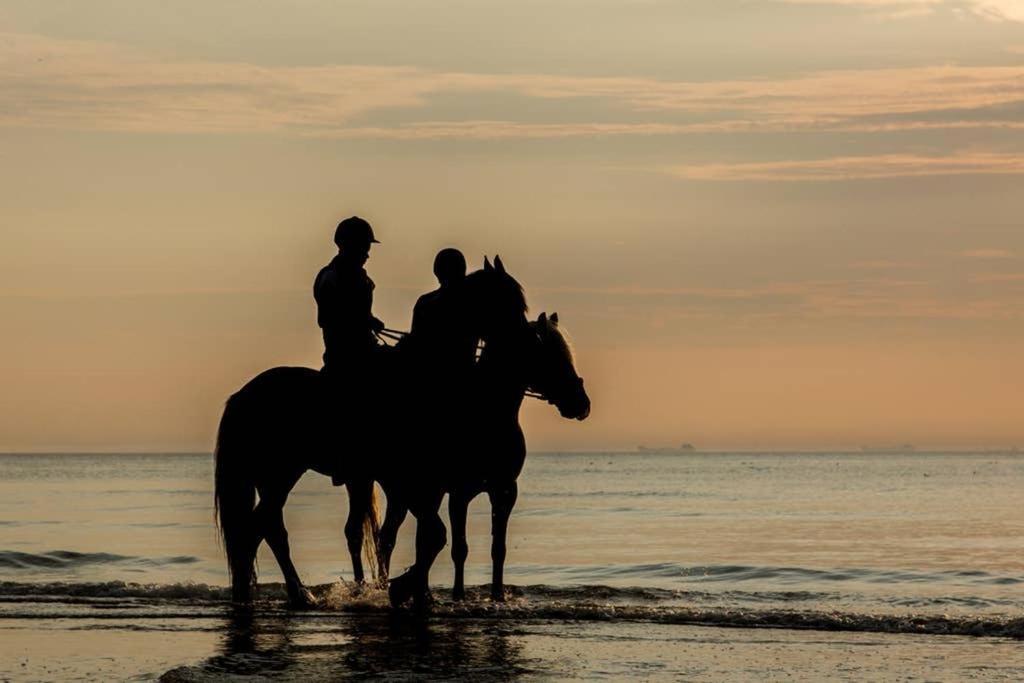 Hoekje Up Katwijk aan Zee Luaran gambar