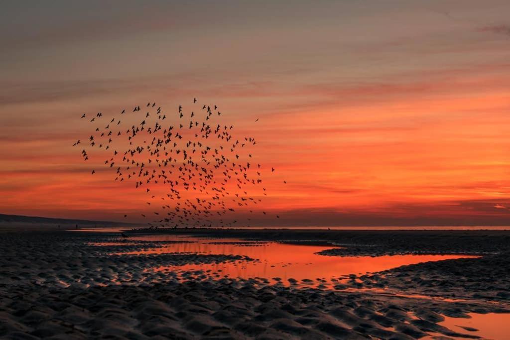 Hoekje Up Katwijk aan Zee Luaran gambar
