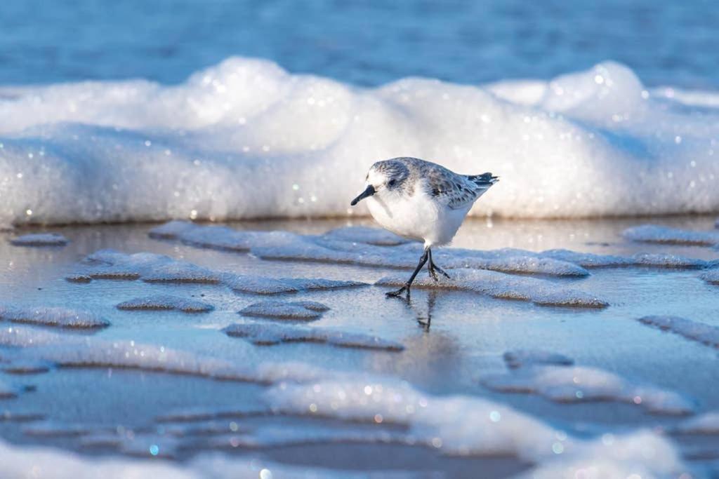 Hoekje Up Katwijk aan Zee Luaran gambar